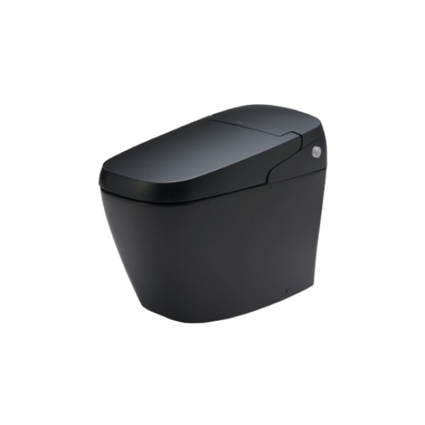 Bàn Cầu Thông Minh INAX AC-G216VN/BKG